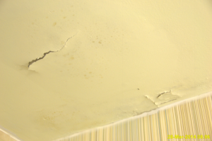 Drywall mold and water damage